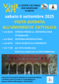 /album/prossimi-eventi/visitart-6-settembre-2025-universita-cattolica-png/